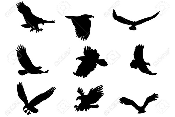 Flying Eagle Silhouette