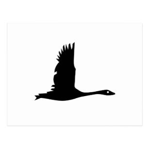 307x307 Flying Goose Postcards Zazzle