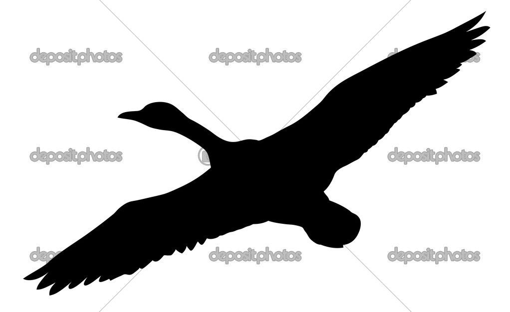 1022x626 Depositphotos 6603151 Vector Silhouette Flying Ducks On White