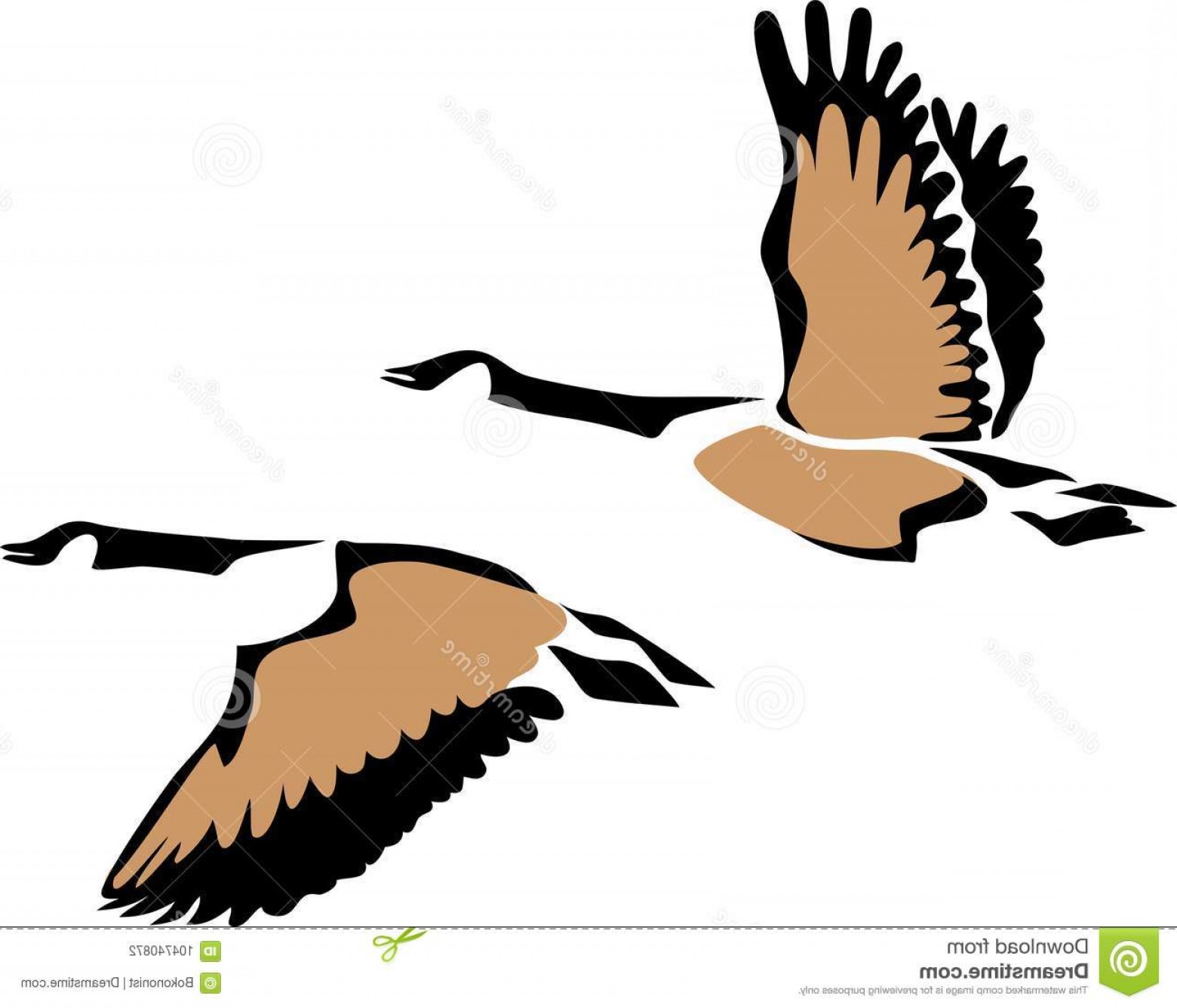 1560x1336 Stylized Three Colours Vector Illustration Flying Geese Canada