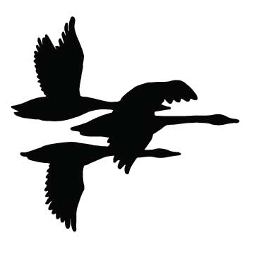360x360 Bird (Geese Flying) Memorialization Amp Personalization