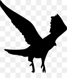 260x300 Free Download Silhouette Hawk Clip Art