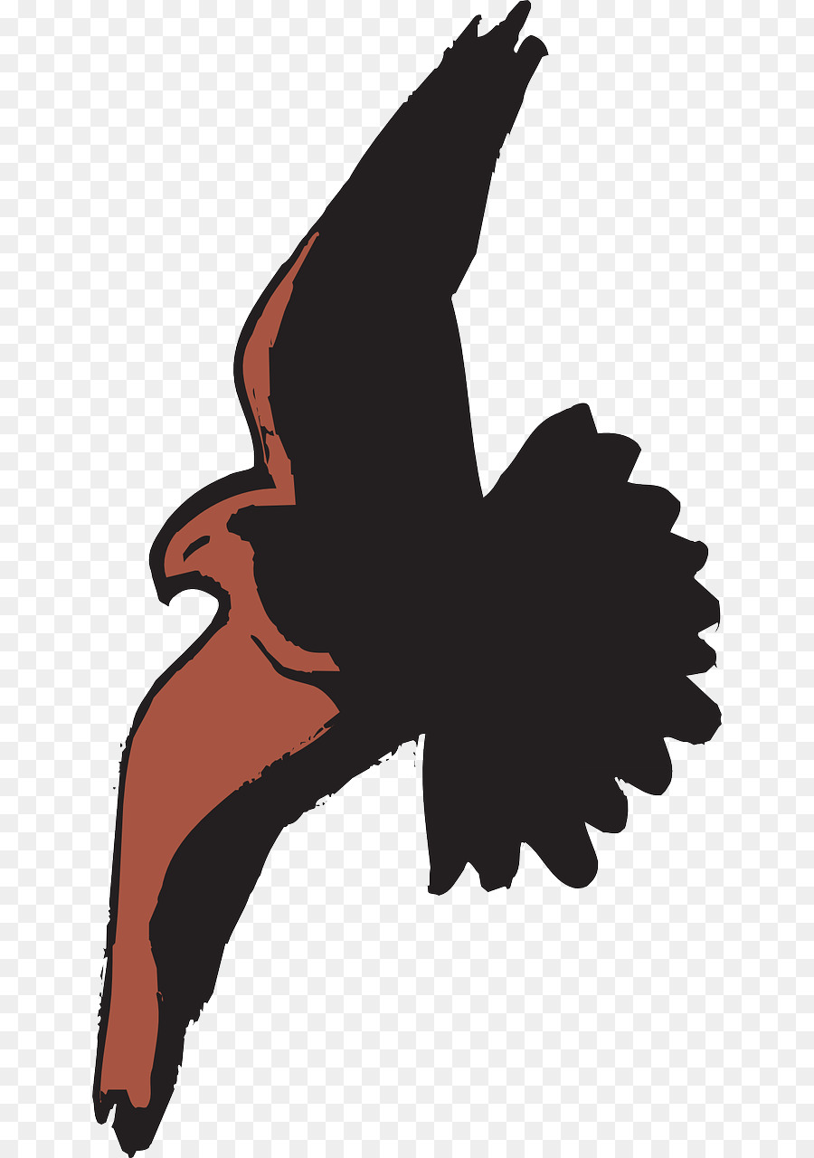 900x1280 Bald Eagle Bird Hawk Cartoon Clip Art