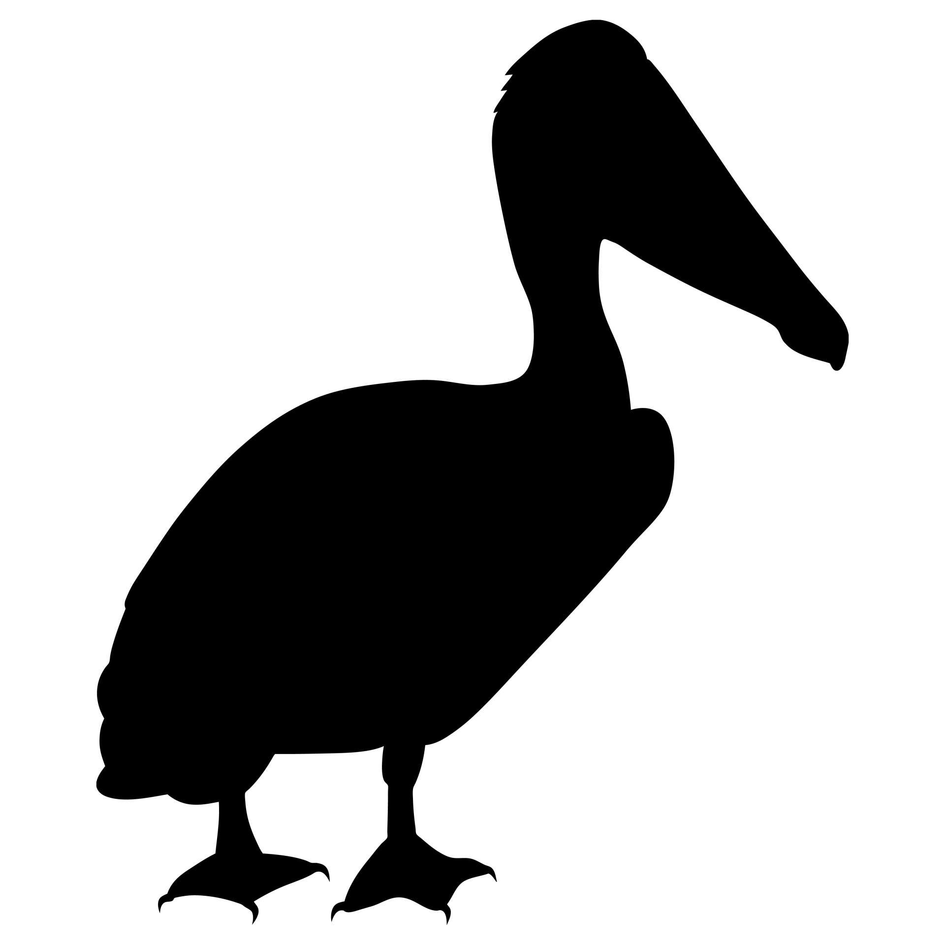 1920x1920 Pelican Silhouette Free Stock Photo