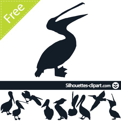 500x500 Pelican Vector Free
