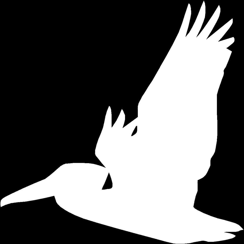 800x800 Buy 15.5x15.5cm Pelican Flying Bird Interesting