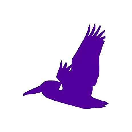 463x463 Flying Pelican Bird