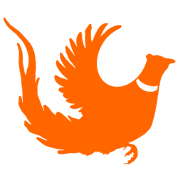 250x250 Products Tagged Decals Modern Wild