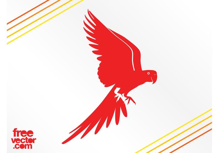 700x490 Flying Parrot Silhouette