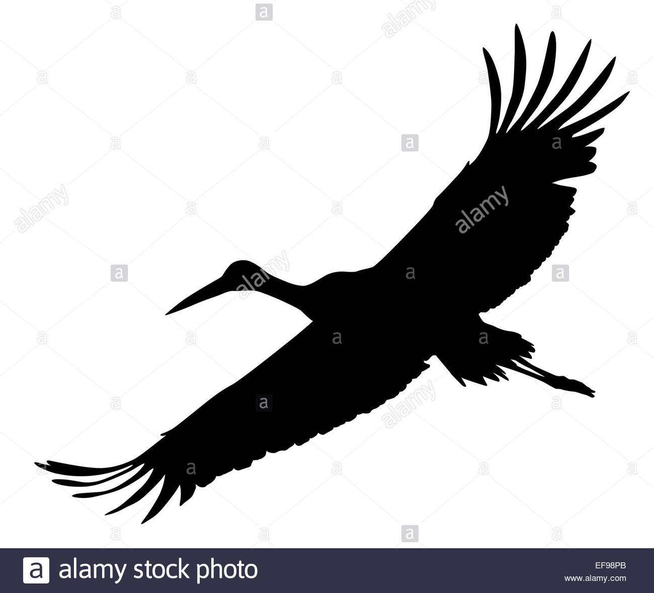 1300x1179 Feather Vector Stock Photos Amp Feather Vector Stock Images