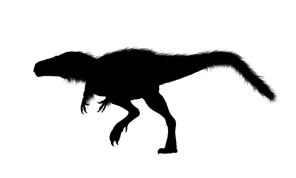 1000x600 Pix For Pig Silhouette Clip Art