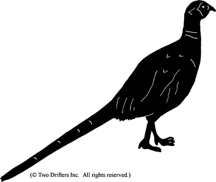 216x182 Weathervanes J. Dub's Metalworks