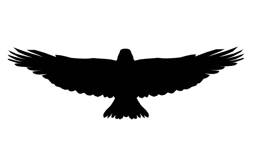 852x480 Golden Eagle Clipart Flight Silhouette