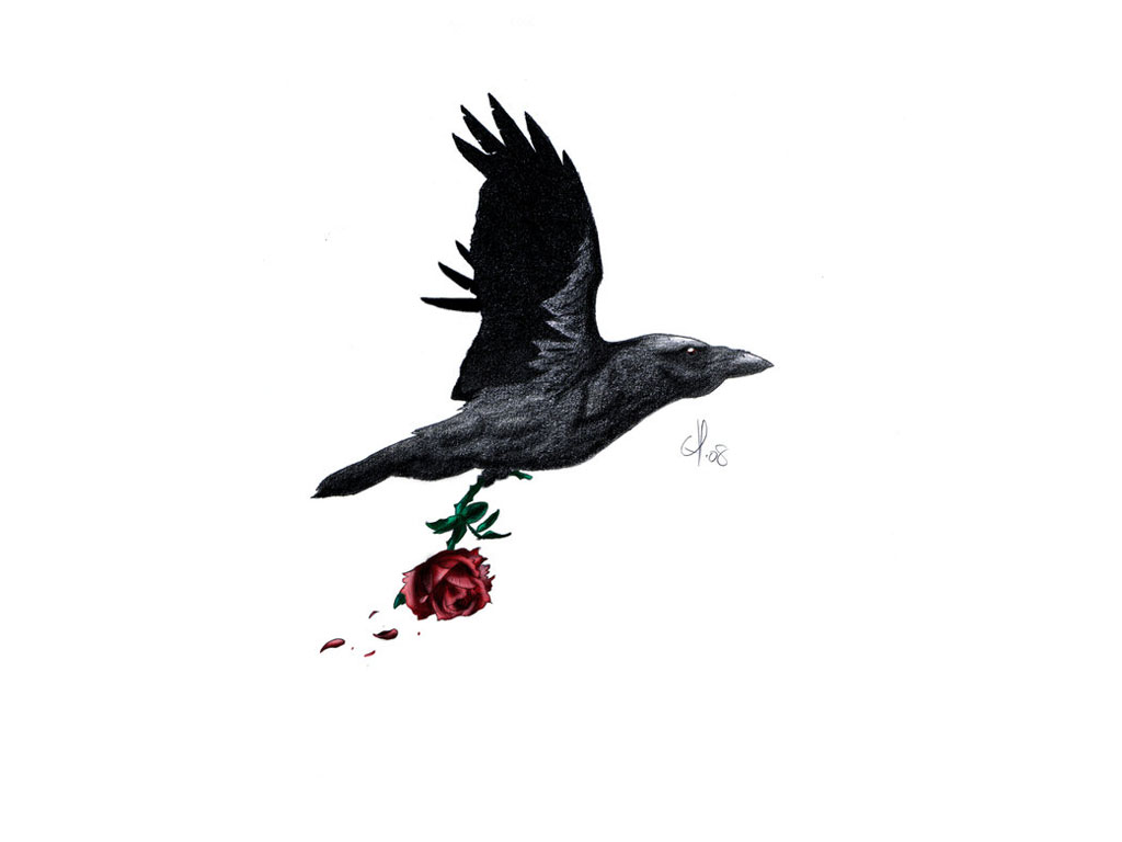1024x768 Raven Silhouette Tattoos For Women Free Download Awesome Flying