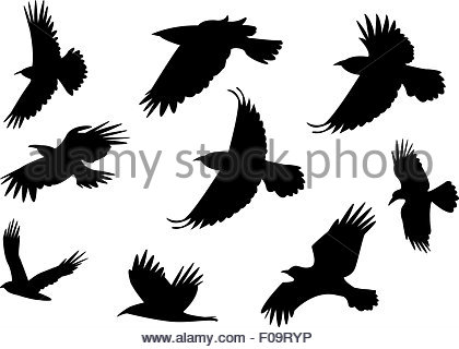 420x320 Raven Vector Silhouette Stock Photo 78265783