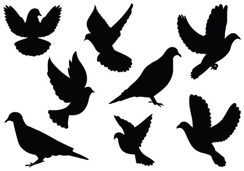 500x350 Turtle Dove Clipart Flight Silhouette