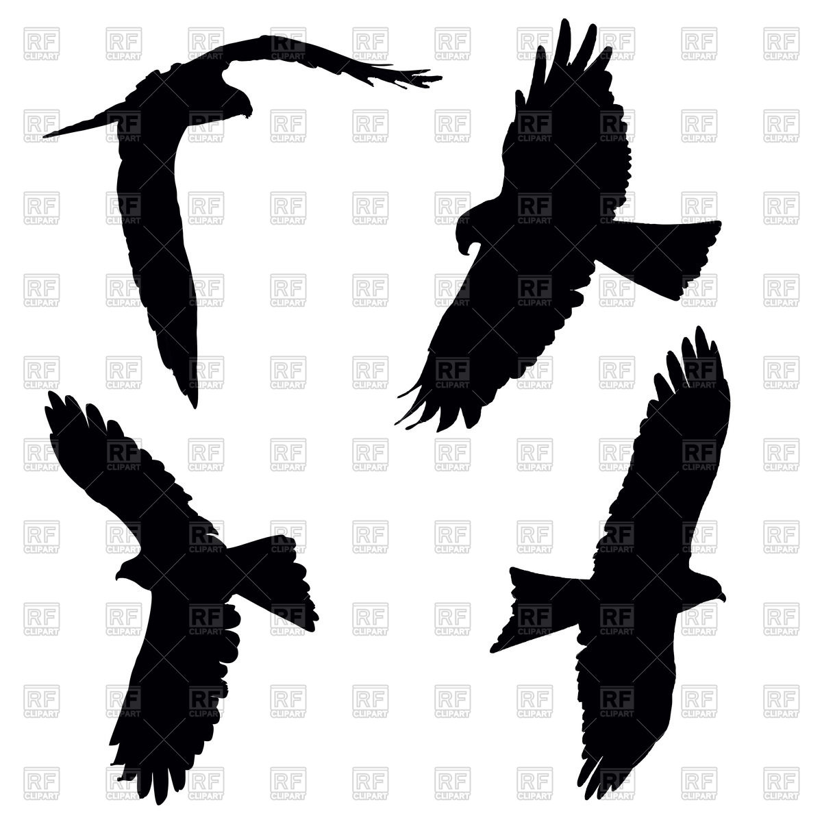 Flying Raven Silhouette At Getdrawings Free Download