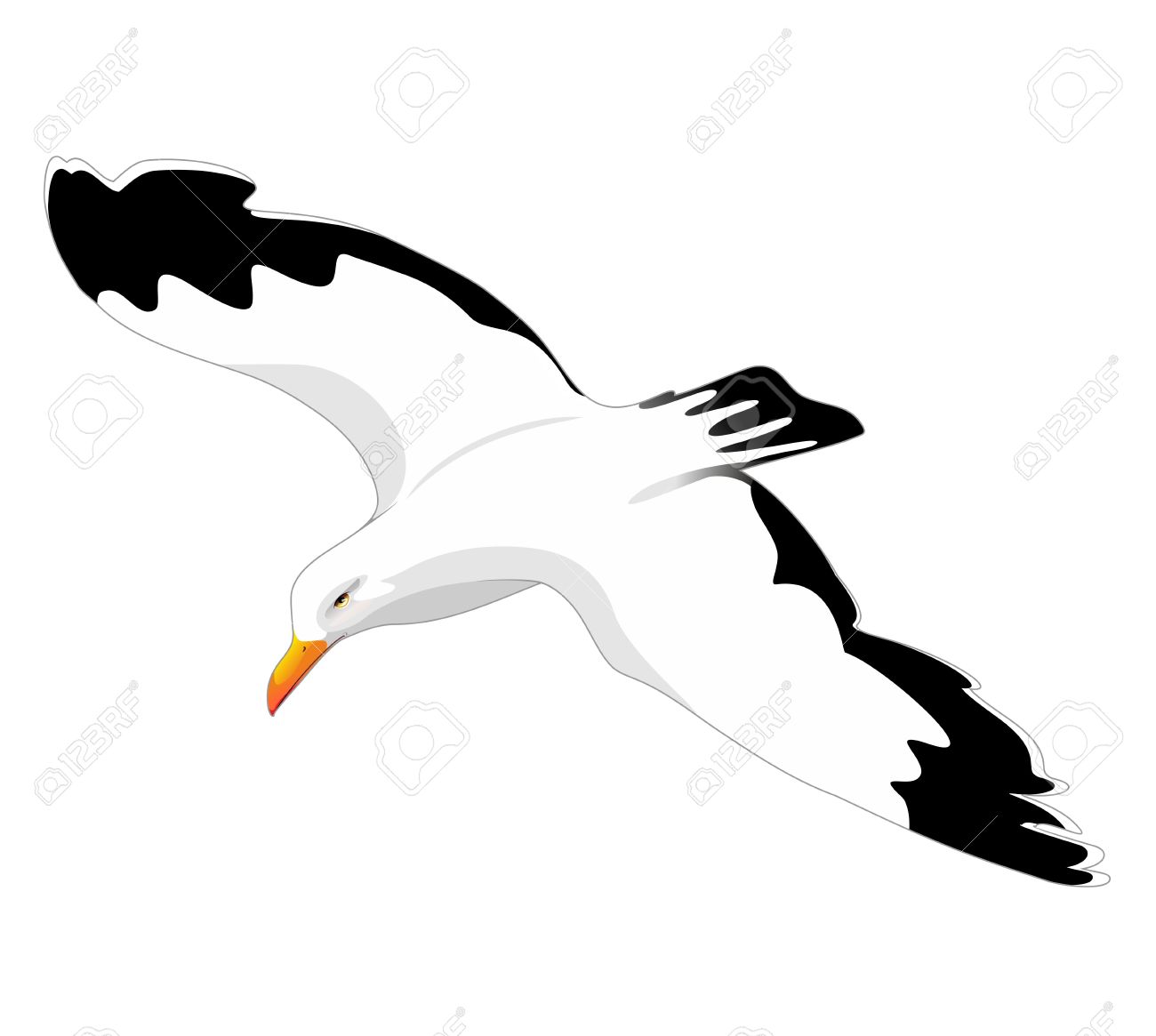 1300x1165 Seagull Clipart Fly