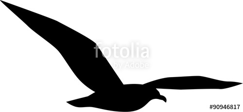500x231 Simple Seagull Flying Stock Image And Royalty Free Vector Files