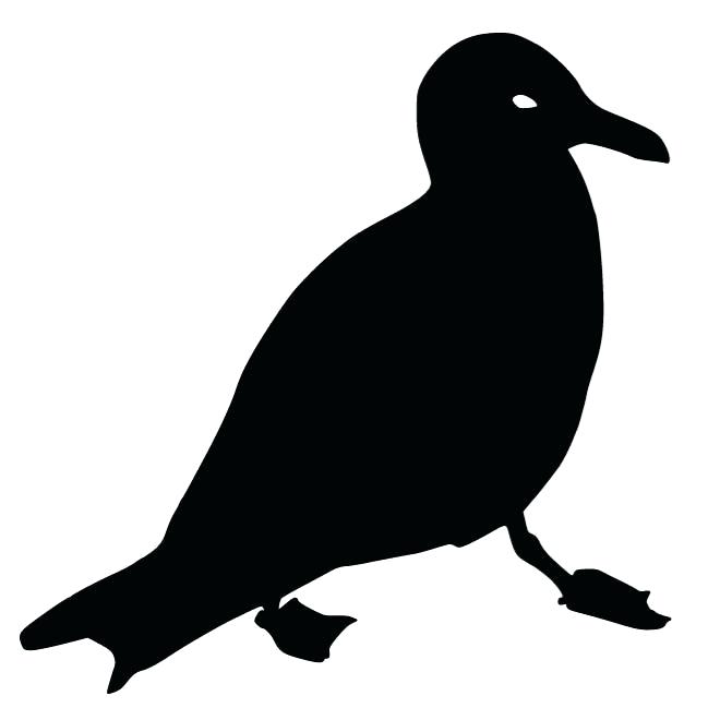 660x660 Seagull Outline
