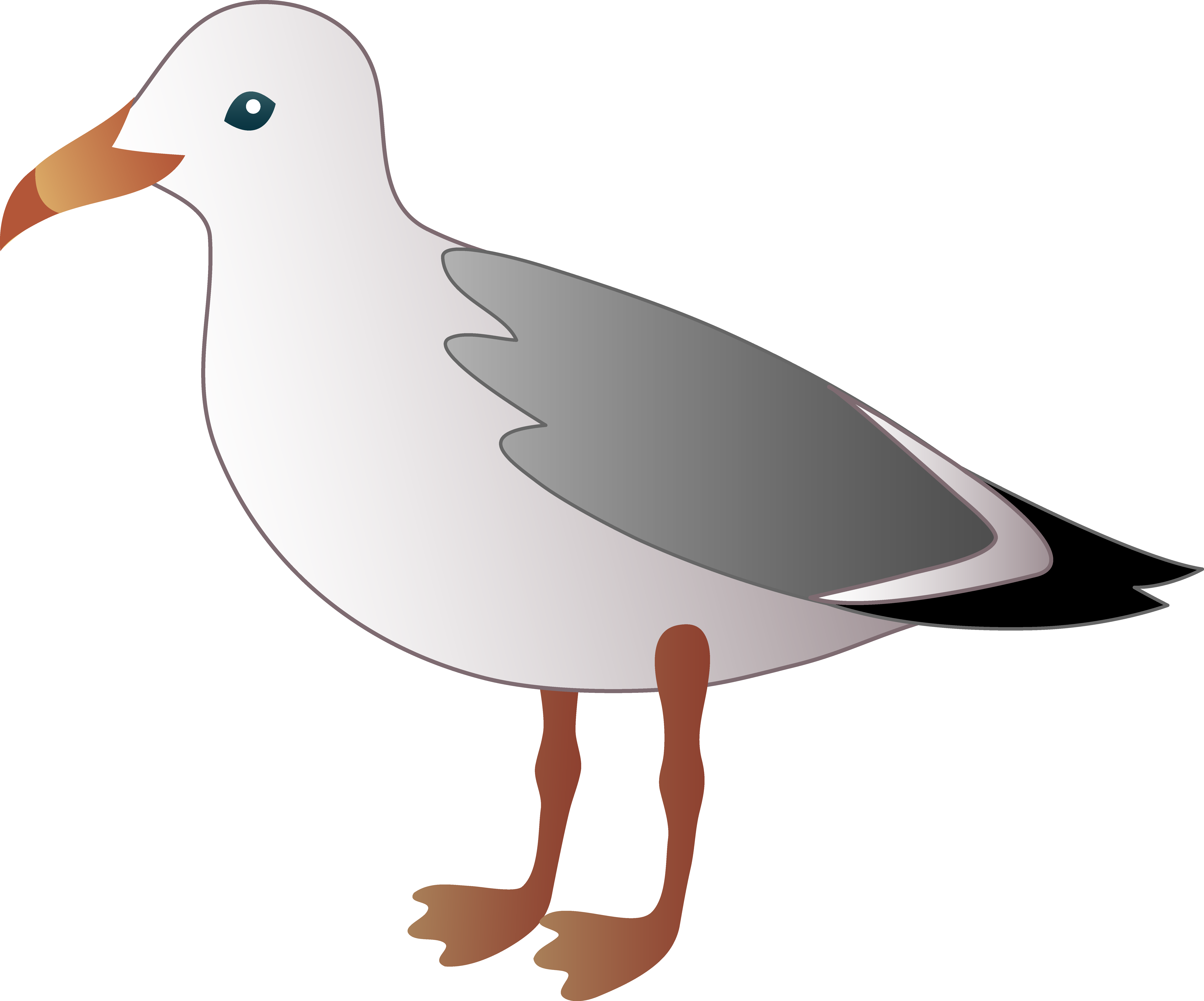 7458x6204 Clipart Seagulls