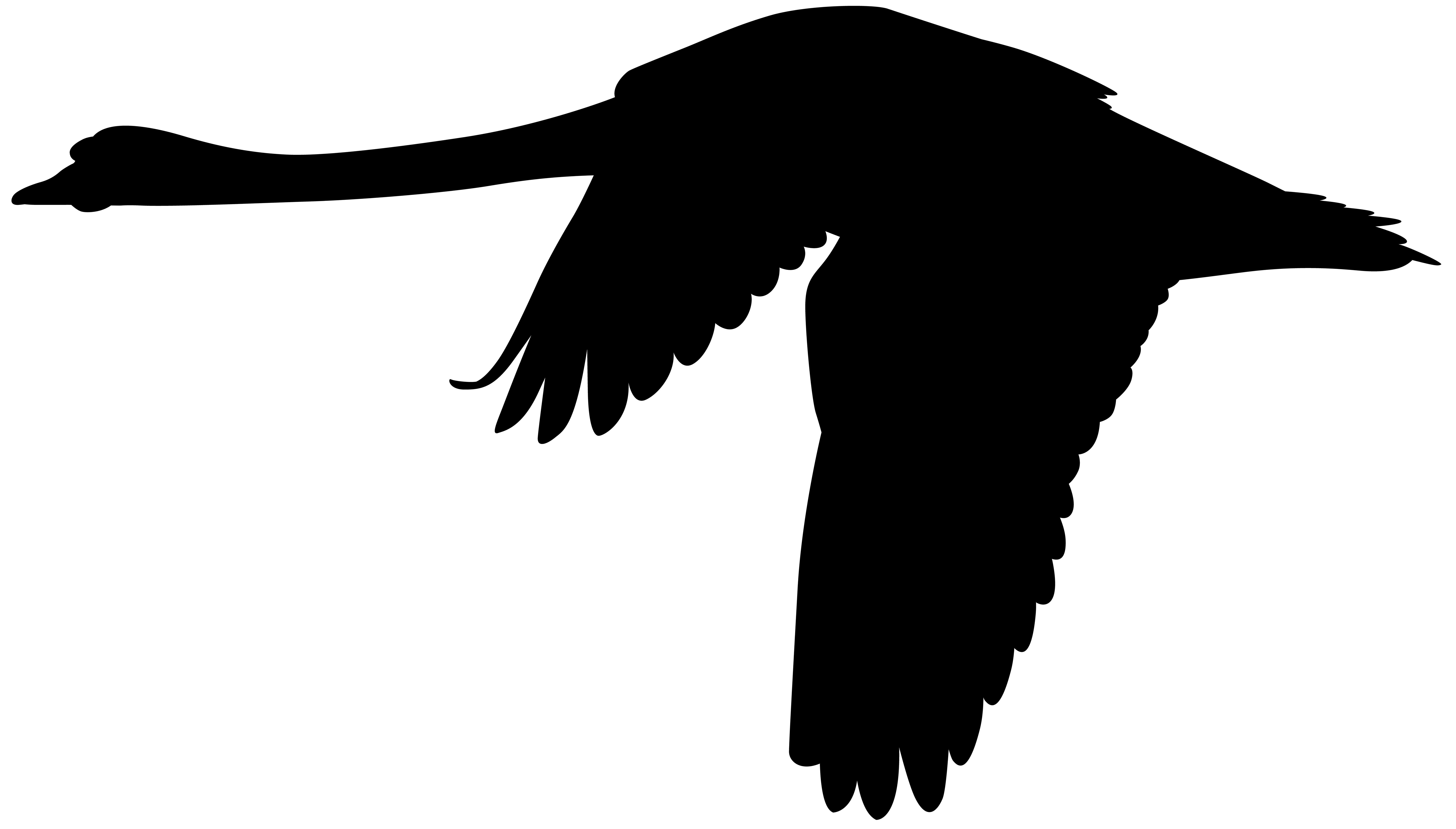 8000x4556 Flying Swan Silhouette Png Clip Artu200b Gallery Yopriceville