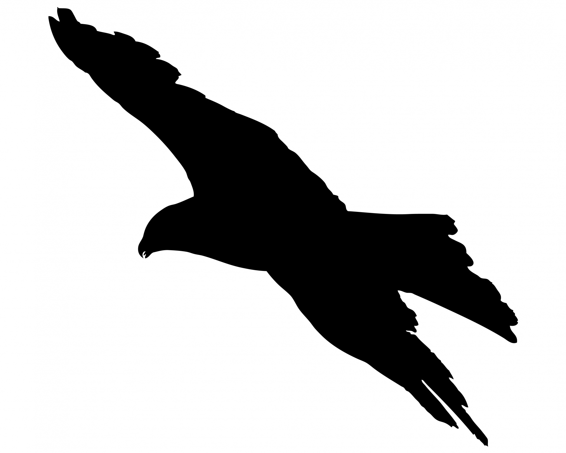 1920x1535 Bird Flying Silhouette Free Stock Photo