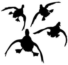 236x227 Flying Duck Silhouette Jukin'' Four Ducks Waterfowl Decal Baby