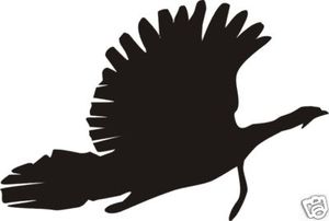 300x202 Tom Jake Turkey Hunting Decal Sticker