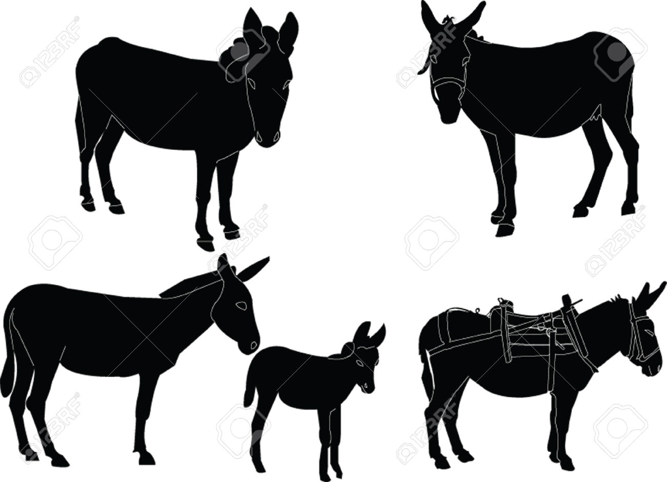 1300x940 Donkey Clipart Foal