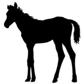 175x175 Horse Silhouette