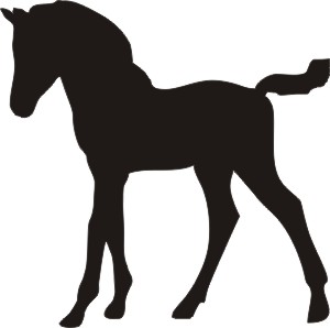 300x298 Silhouette Decal 5 X 5