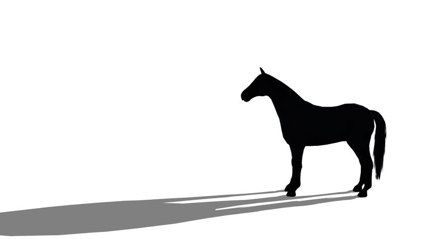 852x480 Black Horse Silhouette Foal Pet Running,farm Animal Wild Life