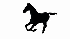 240x134 Black Horse Foal Pet Running,farm Animal Wild Life Silhouette