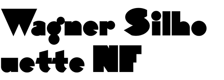 778x280 Wagner Silhouette Nf In Use