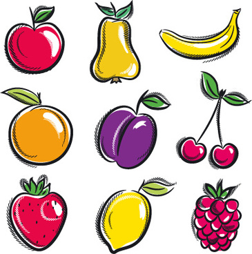 365x368 Food Fruits Vegetables Drawing Free Vector Download (94,460 Free