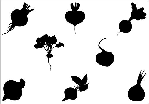 502x351 Beetroot Silhouette Vector