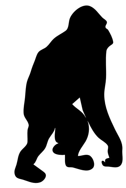 417x623 Footprint Clipart Orangutan