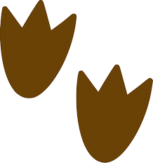 218x232 Image Result For Simple Dinosaur Footprint Silhouette Applique