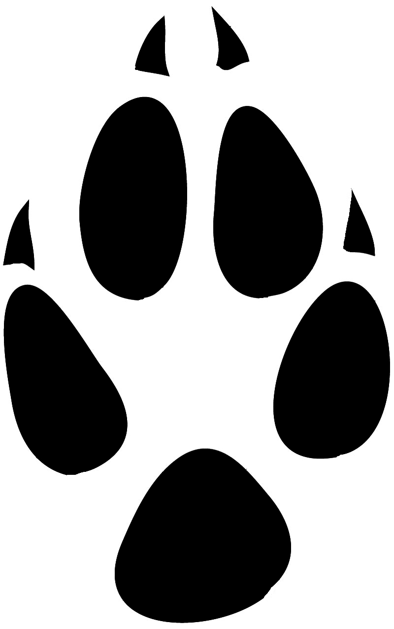 800x1277 Dingo Silhouette Clipart Panda