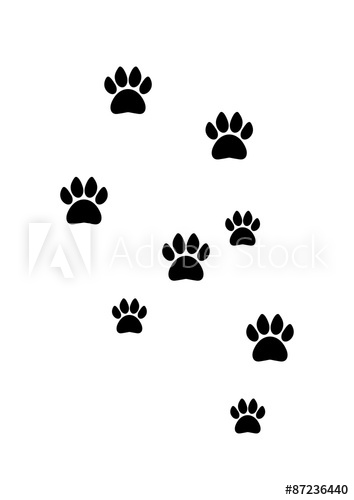 Footprint Silhouette Vector