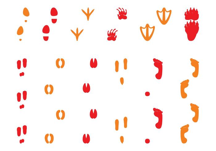 700x490 Footprint Free Vector Art