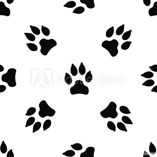 500x500 Seamless Pattern With Black Dog Track Isolated On White Background
