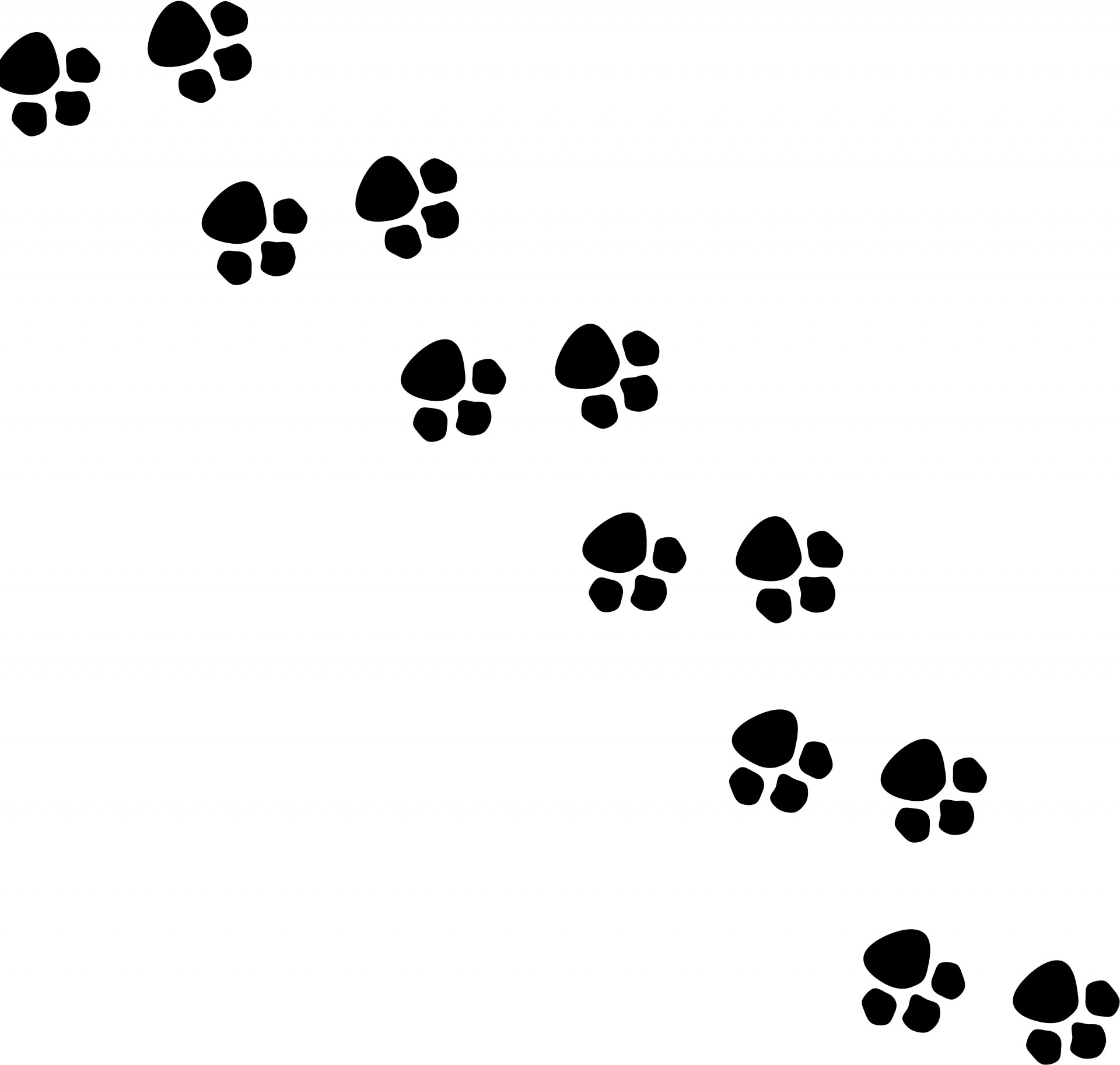 1920x1826 Animal Footsteps Silhouette Free Stock Photo