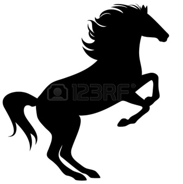 736x740 18 Best Heste Images On Silhouettes, Horse Farms