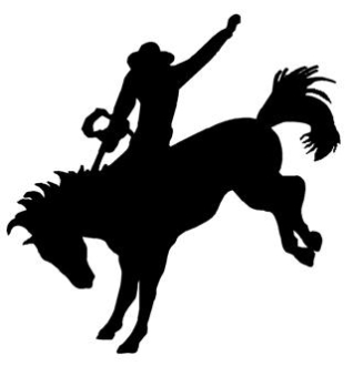 318x330 Bronco Silhouette Decal Sticker