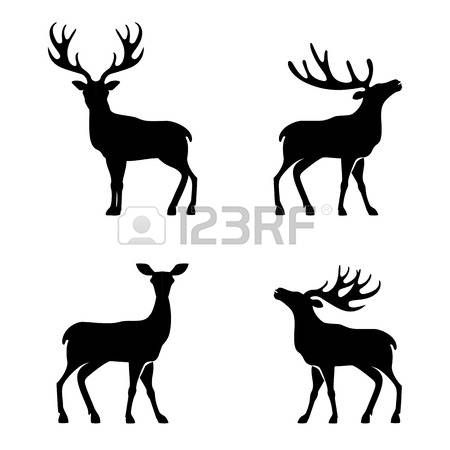 450x450 Chevreuil Dessin Vector Illustration De La Collecte Des Cerfs