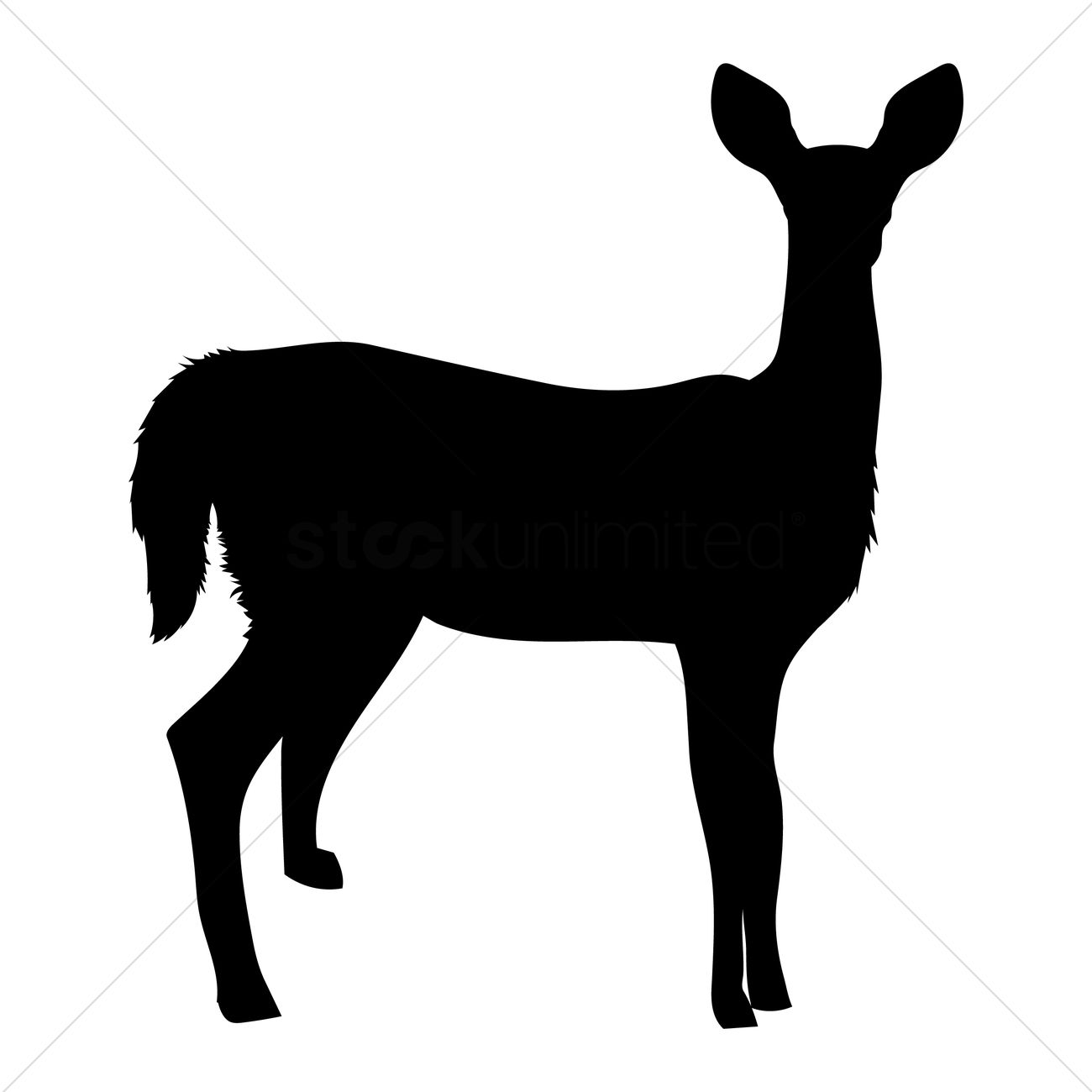 1300x1300 Nature Deer Deers Animal Animals Mammal Mammals Animals Birds Bird