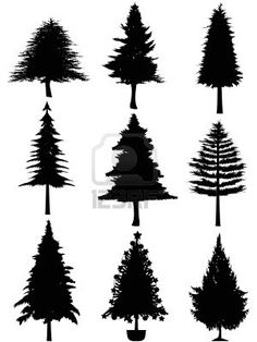 236x314 Pines Woods Background Clipart Outline