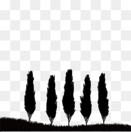 260x261 Forest Silhouette Png, Vectors, Psd, And Clipart For Free Download